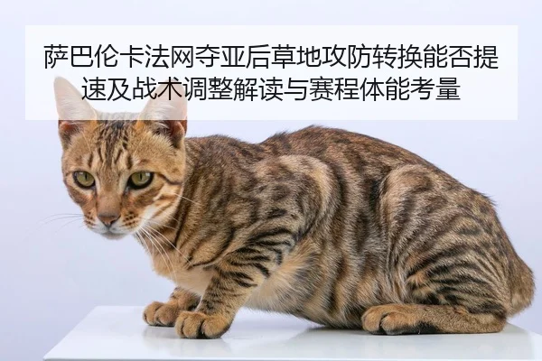 sa-ba-lun-ka-fa-wang-duo-ya-hou-cao-di-gong-fang-zhuan-huan-neng-fou-ti-su-ji-zhan-shu-tiao-zheng-jie-du-yu-sai-cheng-2-296.jpg