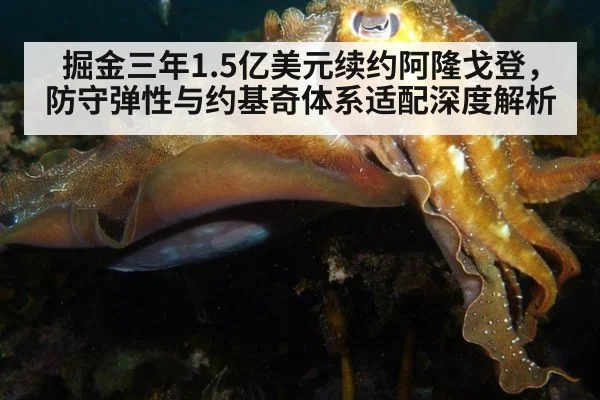 掘金三年1.5亿美元续约阿隆戈登,防守弹性与约基奇体系适配深度解析